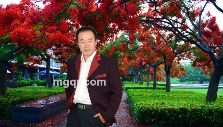 友谊情深的头像