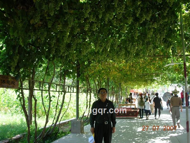 英雄无语的头像