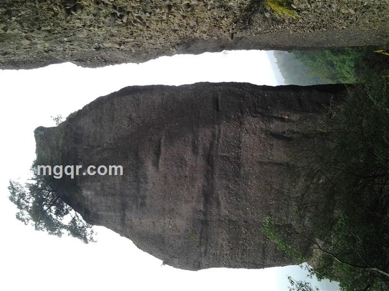 高山蜗牛的头像