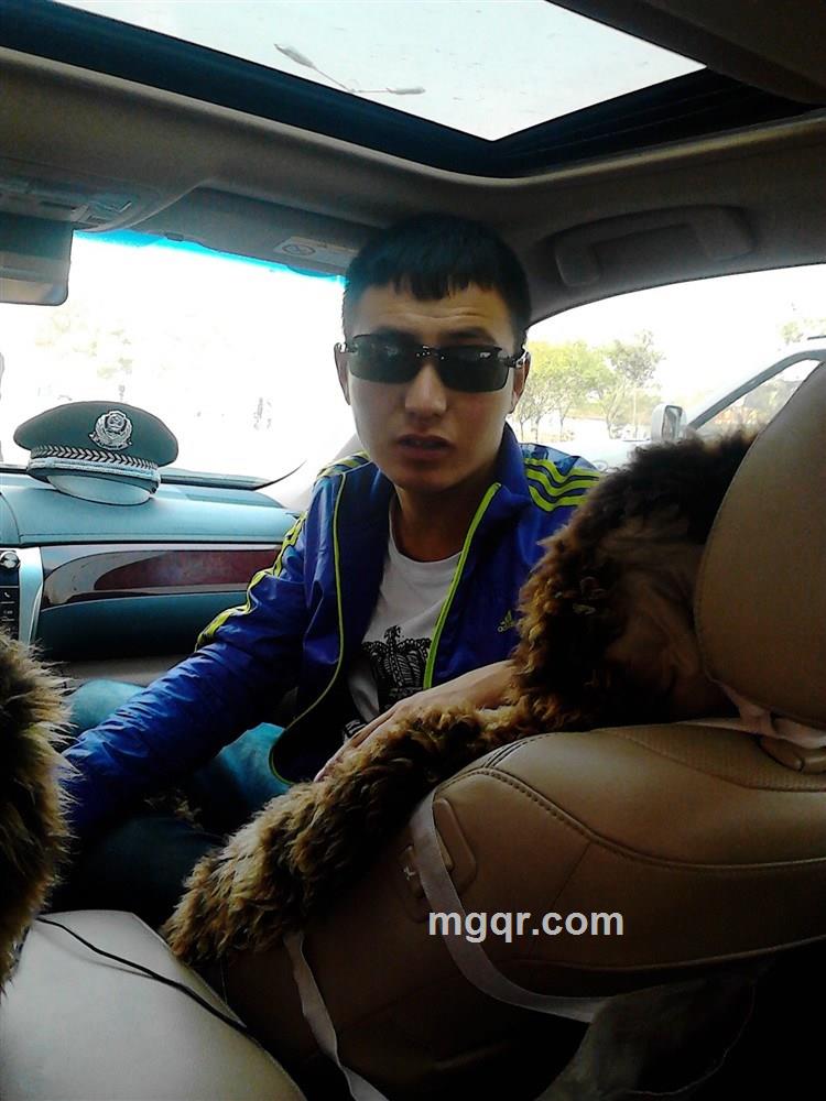 太太子子的头像