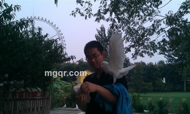 北京夜色的头像