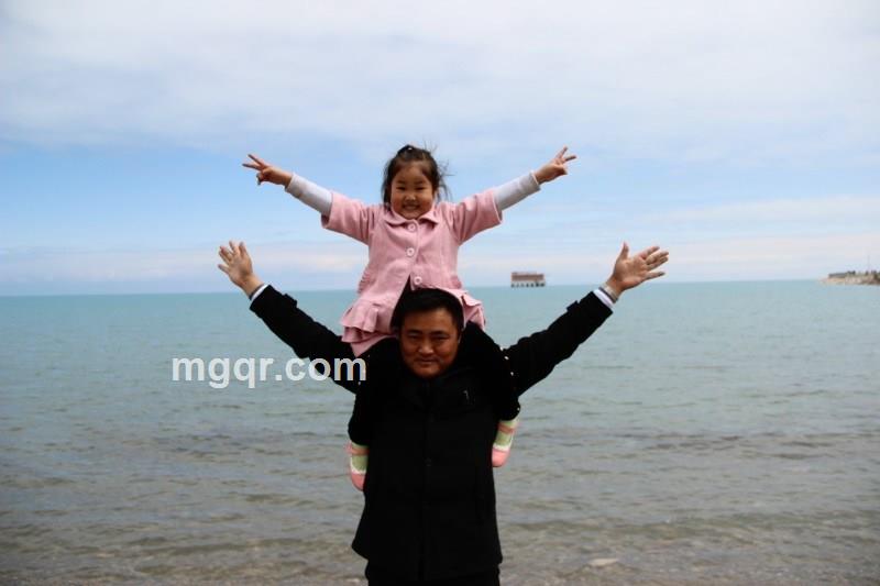 nanfengchen的头像