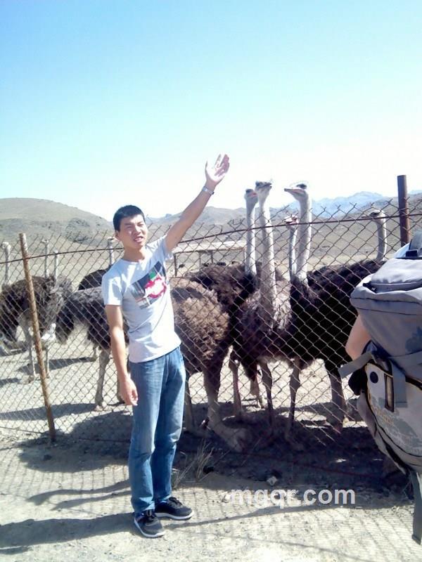 有缘人有份的头像