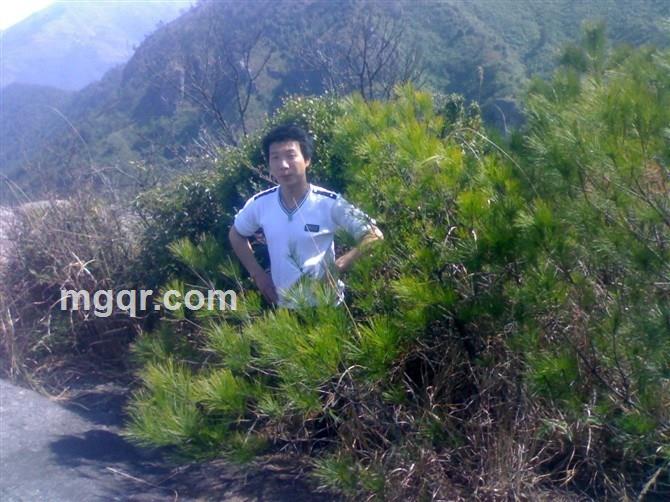 寂寞。的。真爱的头像