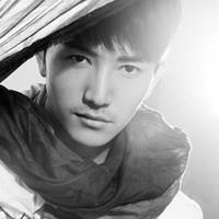 水中的鱼和鸟的头像