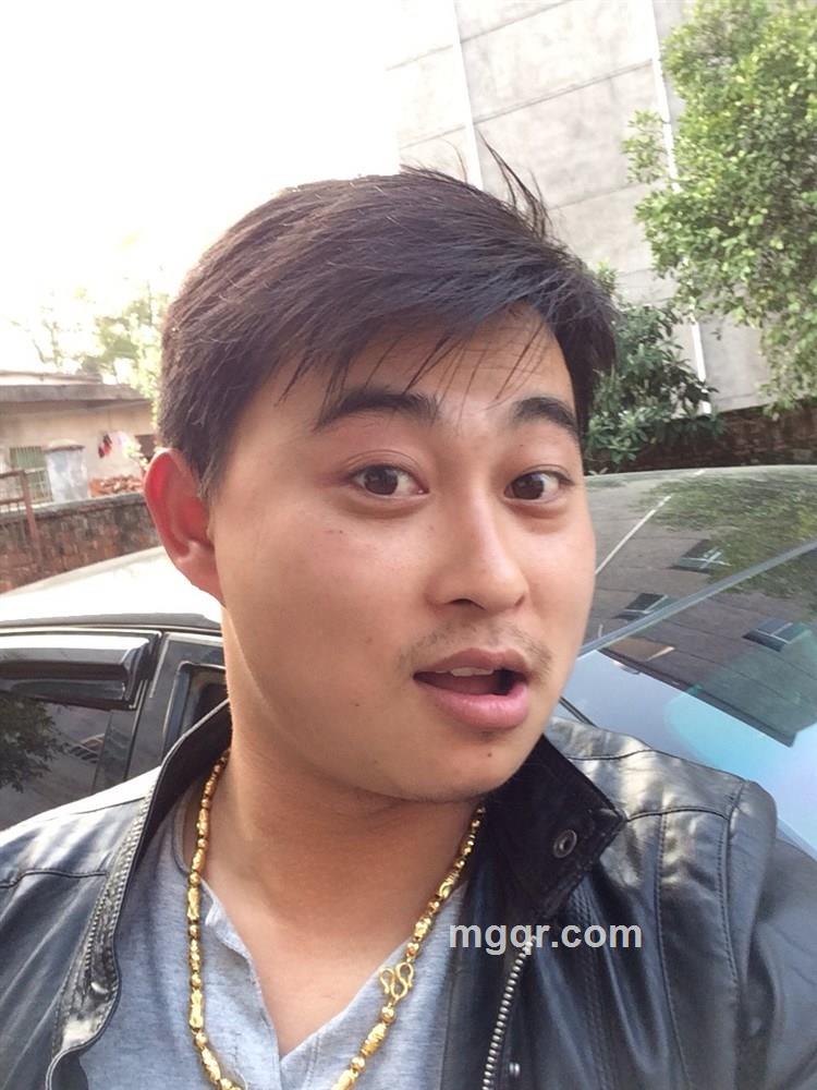 小毛爱毛的头像