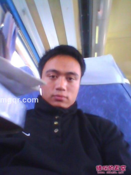 鸿运天天的头像