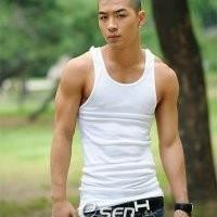 咪咪猫咪的头像