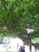 彼此互补的头像