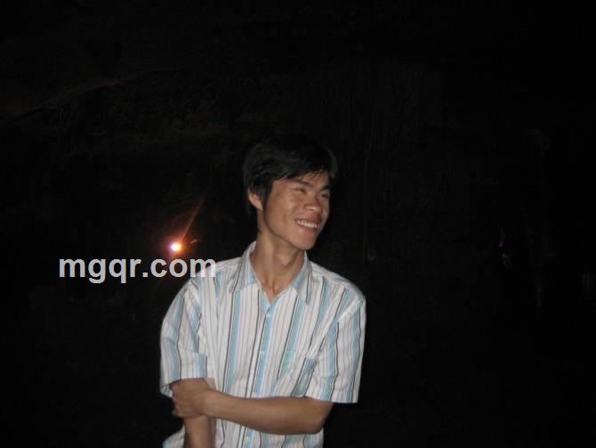 枝上柳棉的头像