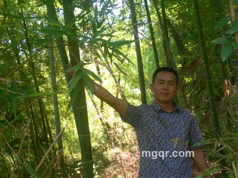 浩浩浩浩浩的头像