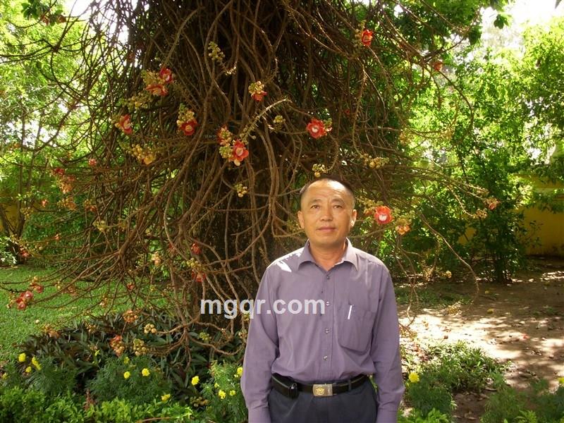 名不子的头像