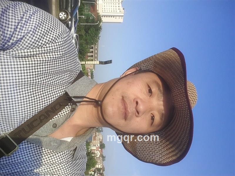 老树有新枝的头像