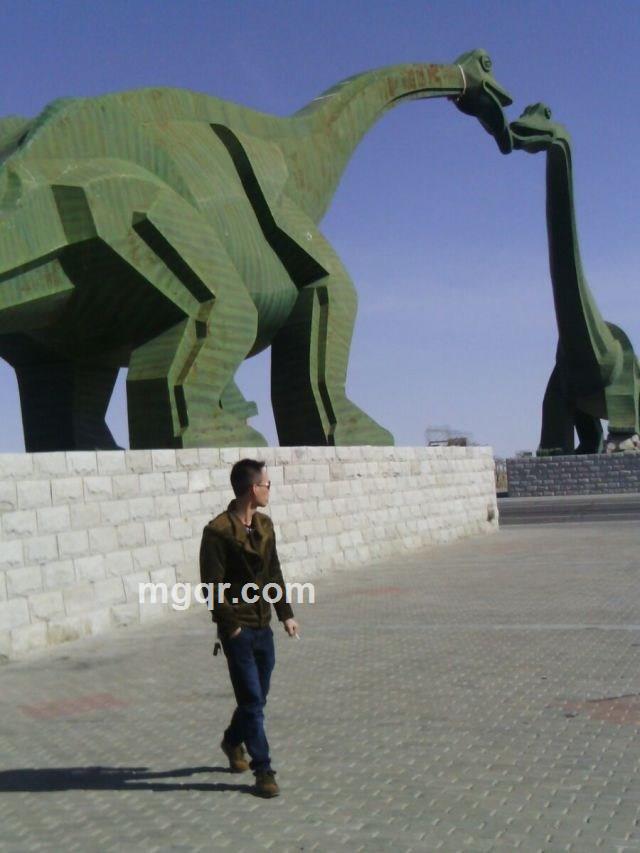 孤单的浪子的头像