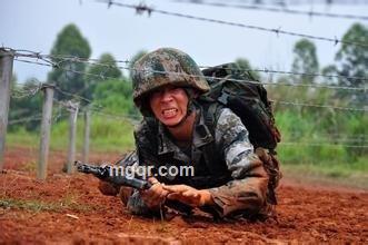 兵王之王的头像