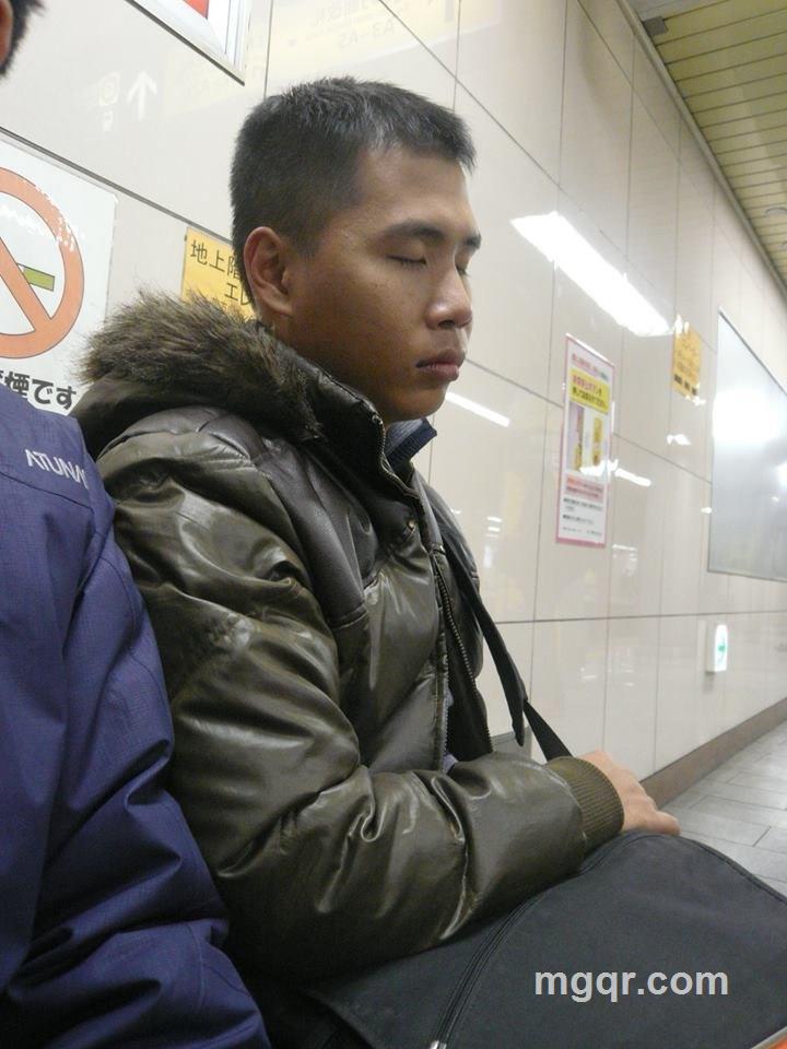 盆栽的头像