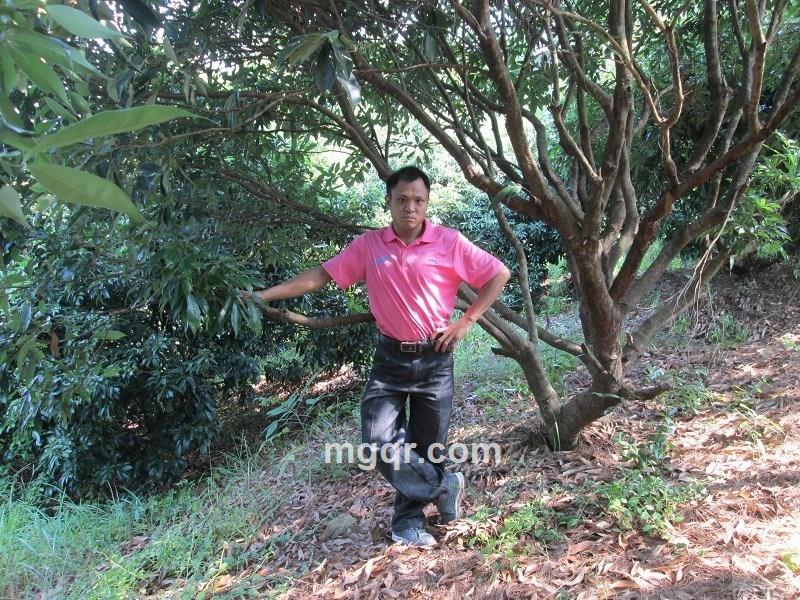 爱你不变迁的头像