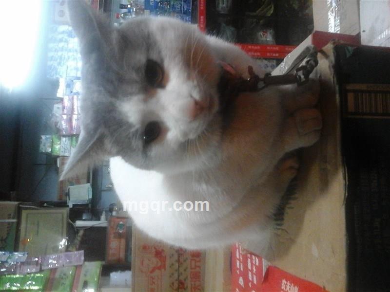 你那爱笑的眼睛的头像