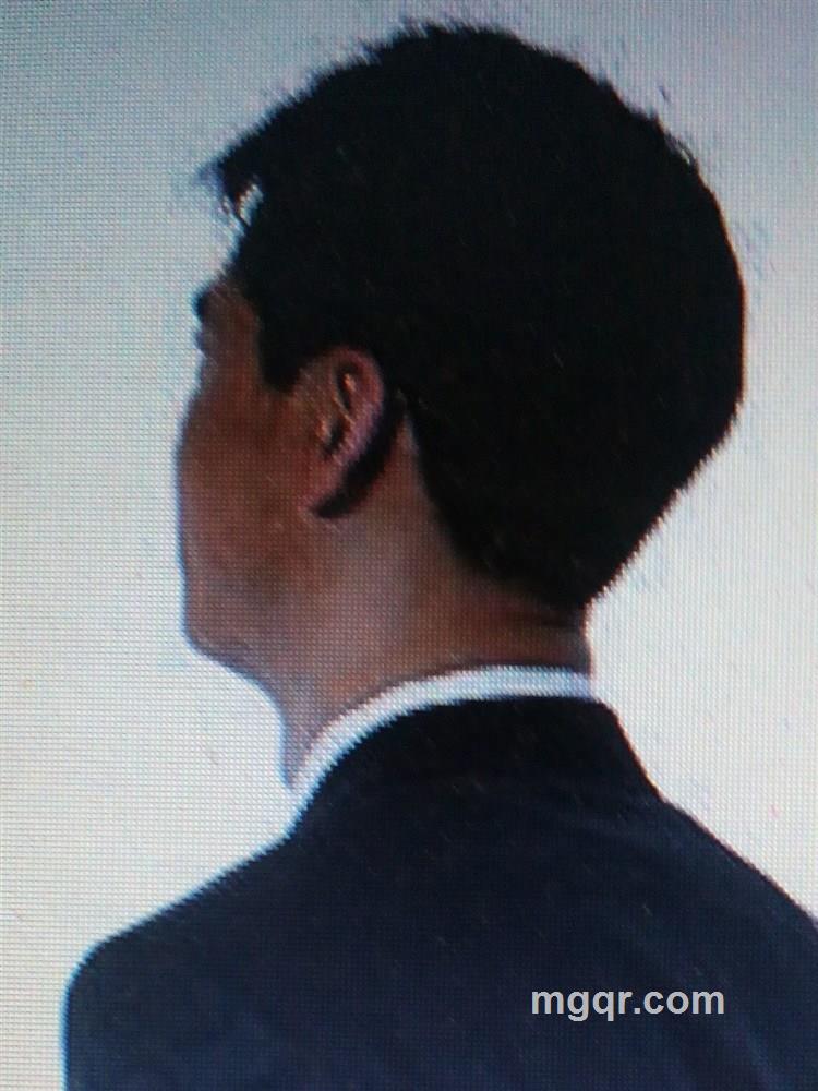 心灵的颤音的头像