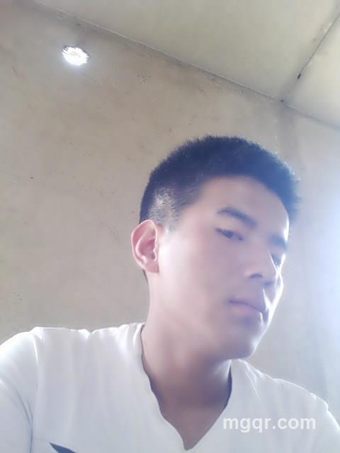 灰太狼131的头像