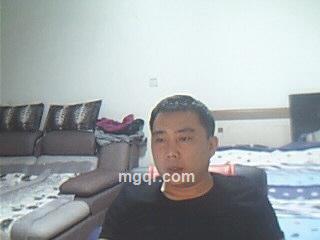 xinxinxinai的头像