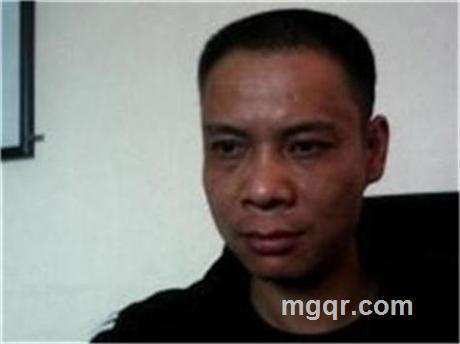 梧桐树飞来金凤凰的头像