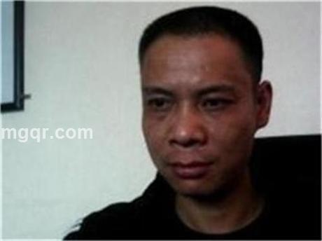 梧桐树飞来金凤凰的头像