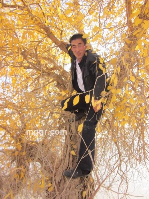 孤狼B组的的头像