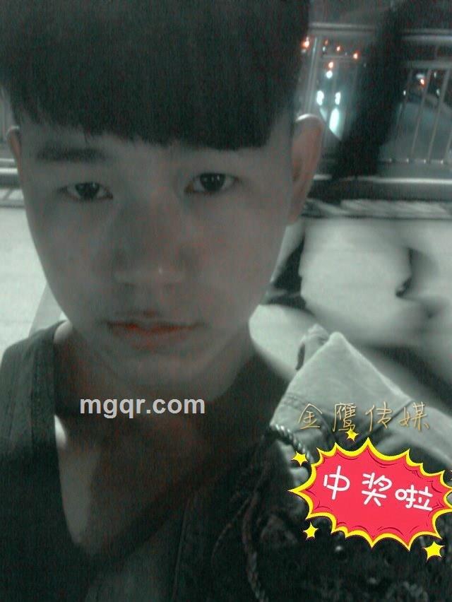 金鹰娱乐传媒的头像