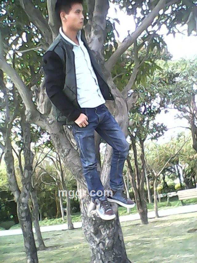 情人平台的头像