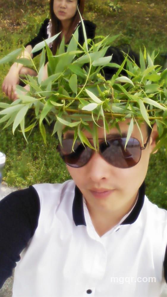 抬头的蚂蚁的头像