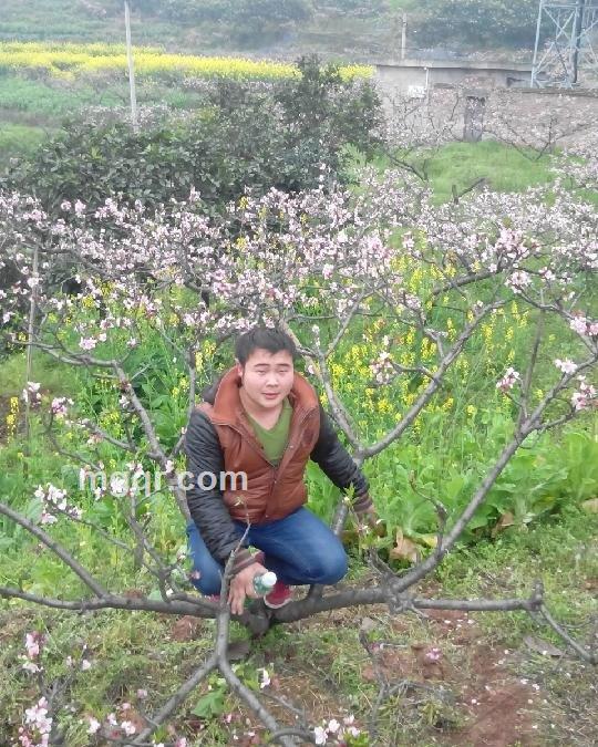 @xiangxiangai的头像