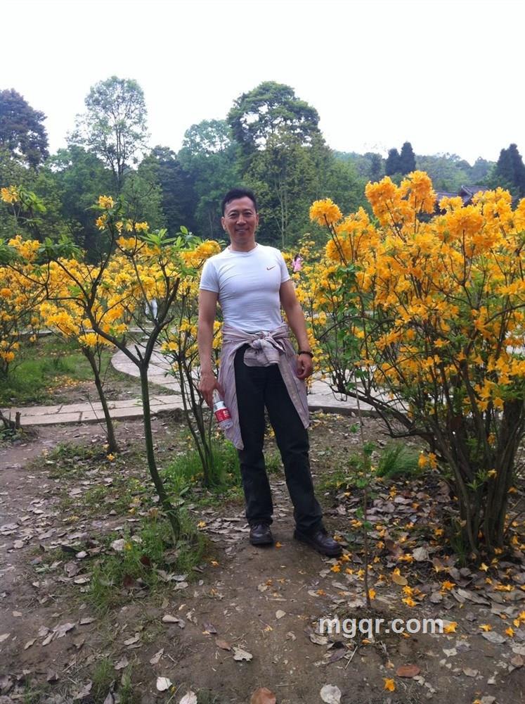 开心的老虎的头像