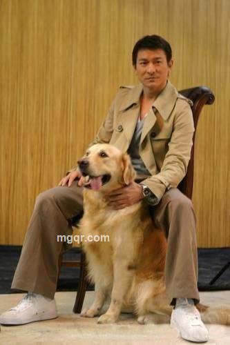 期待。只是一首歌的头像