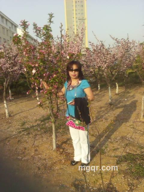 情义有价吗？的头像