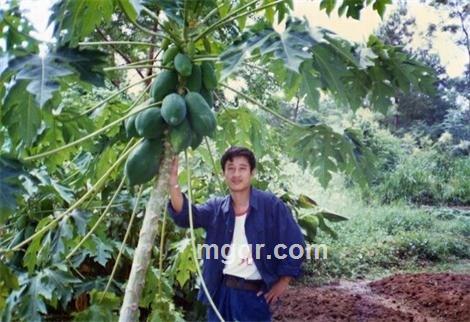 想和你暖暖的头像