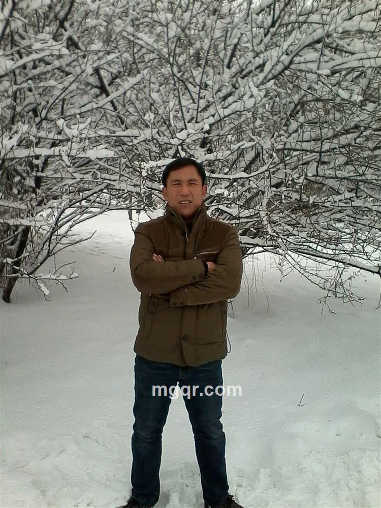 xingfu的猪头的头像