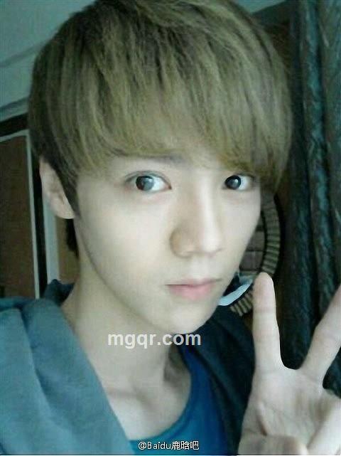 whliu别来无恙的头像