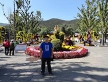 海里的风的头像