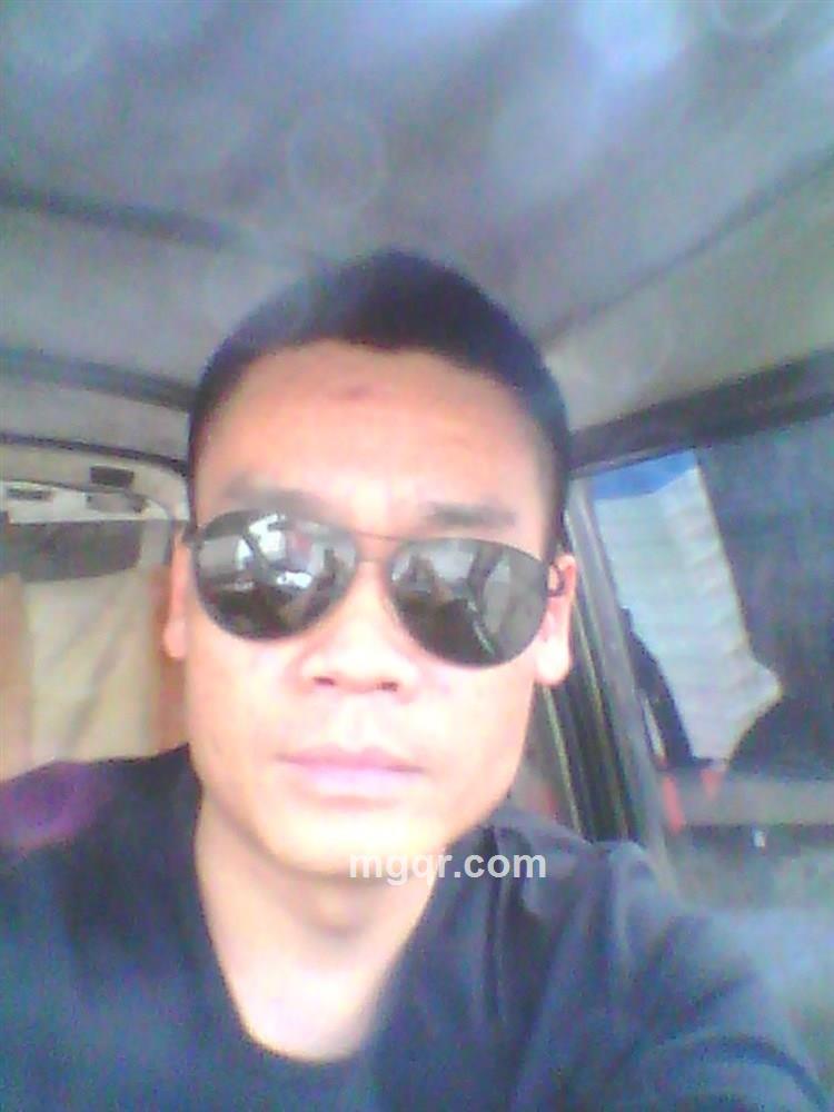 寂莫鸵鸟的头像