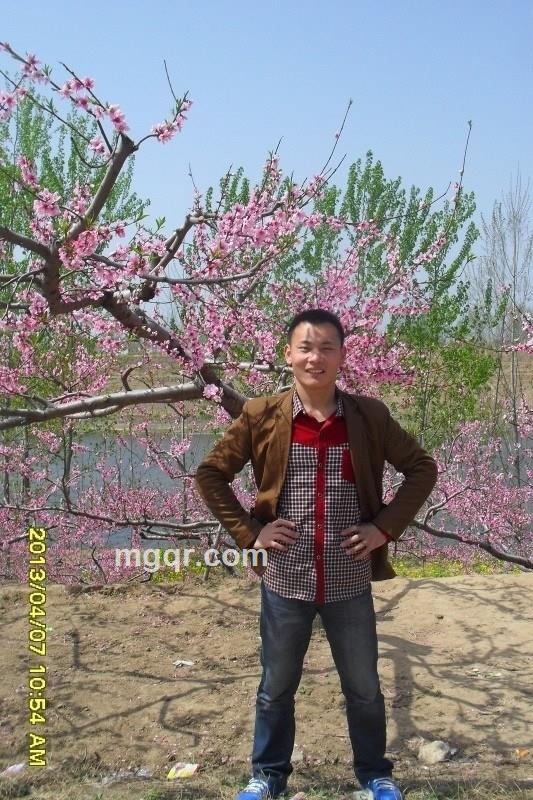 低调的小丑的头像