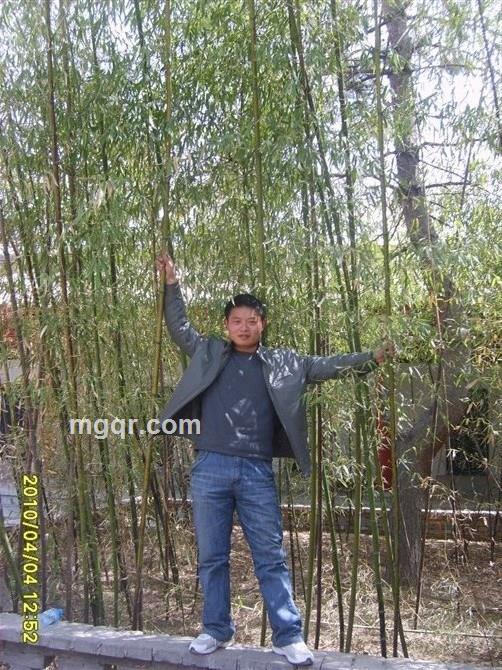  好人好事的头像