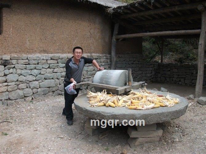 灯火阑珊灯火阑珊的头像