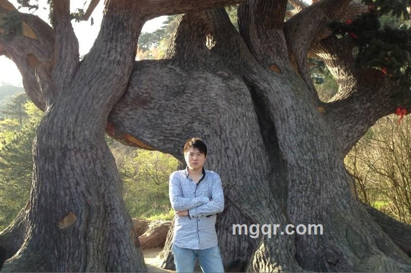 ¨. メ 楓的头像