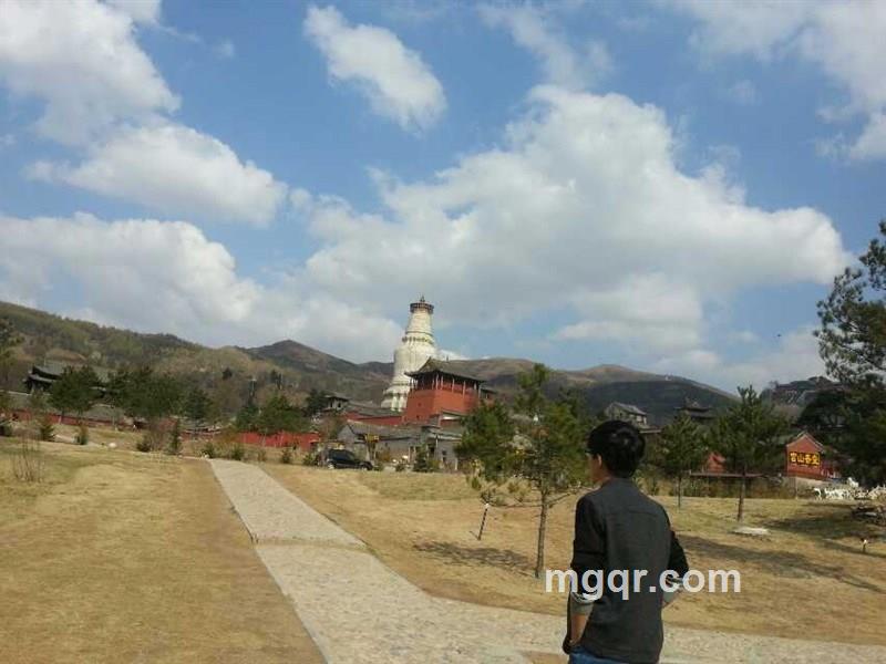 单身再见的头像