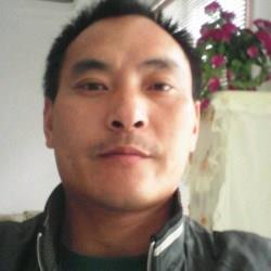 风兩欲来风满楼的头像