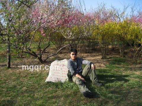 滂沱大雨的头像
