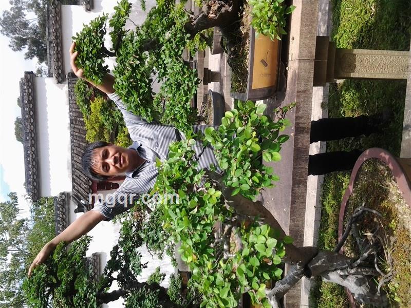 我的梦如何挽留