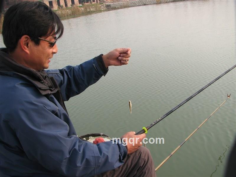 追风透骨的头像