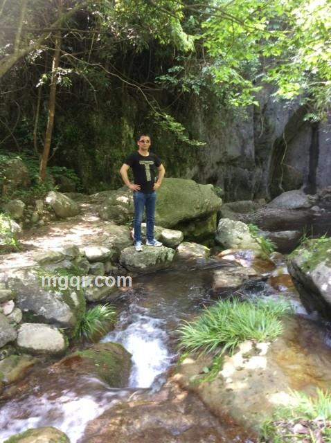 狂乱的一夜的头像